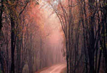 开云体育下载-德国乒乓球队鏖战韩国乒乓球队，王皓完成帽子戏法