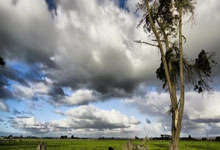 开云体育入口-菲律宾男篮惊天逆转法国男篮，浓眉全场统治引爆激情