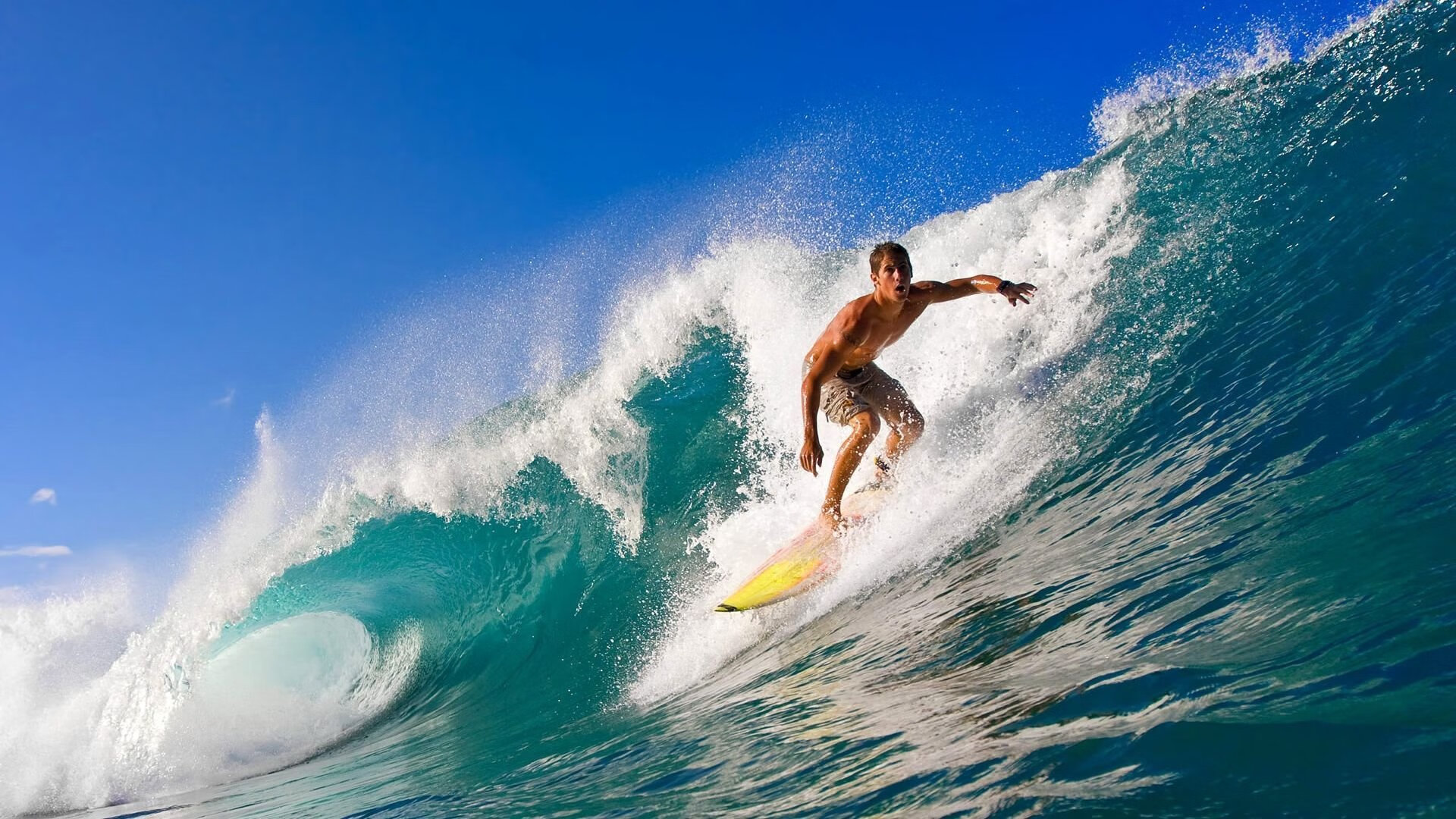 篮球风暴!布伦森一夜封神,世界杯的东方红与纽约的橙色狂想